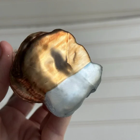 Old World Christmas Blown Glass Cat With Toy Mouse w/ Tag OWC Glitter VINTAGE - Picture 7 of 7